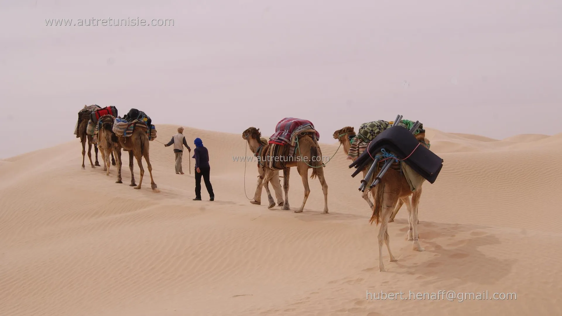 Trekking & Hiking Tour