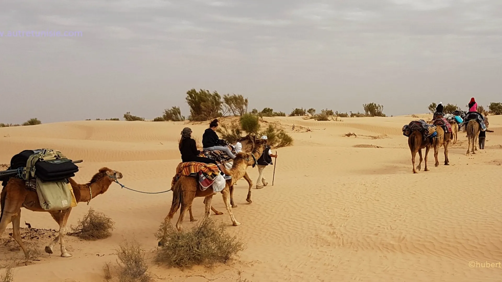 Mer et Désert - Image 1