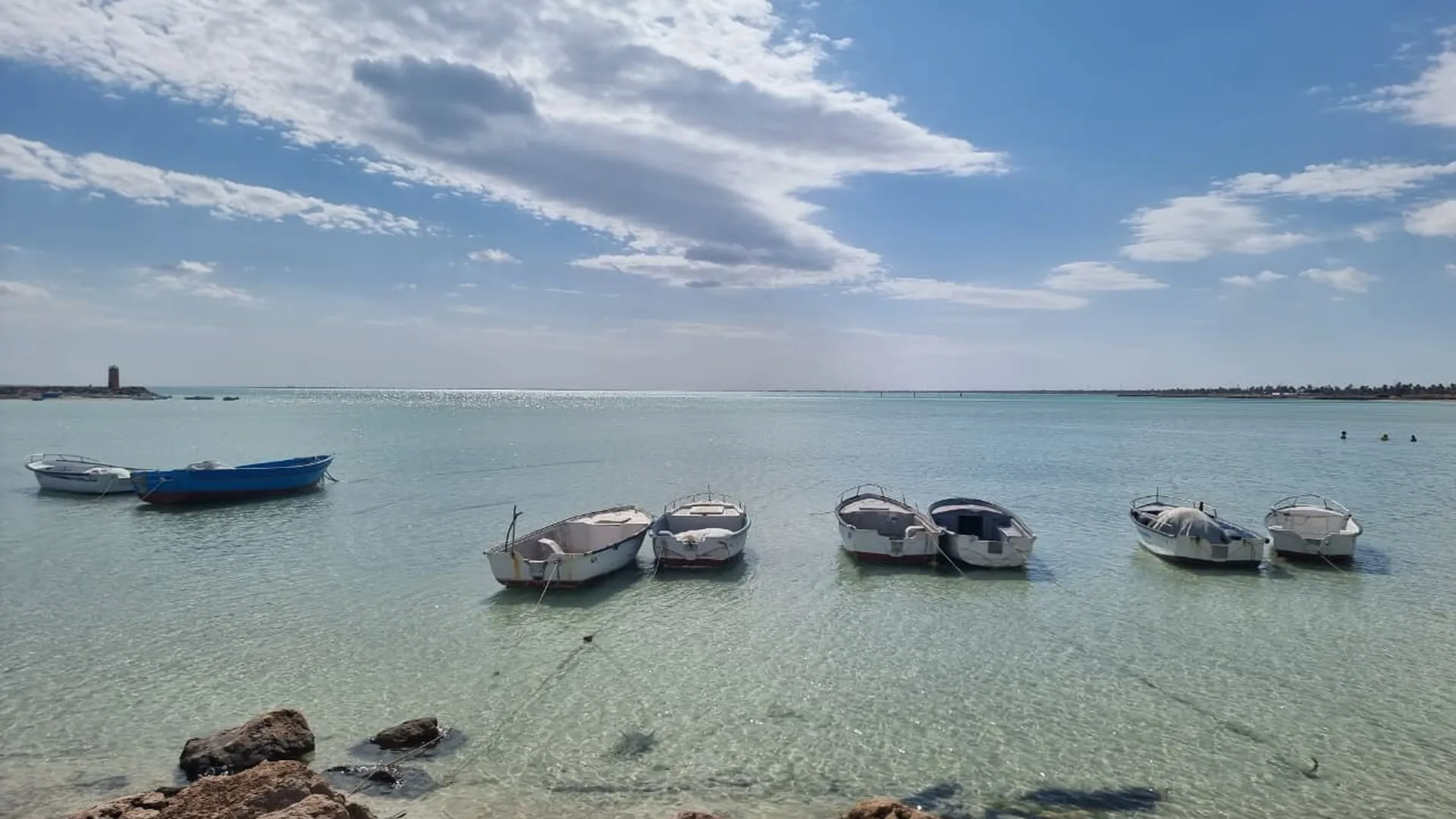 From Zammour to Djerba: Return to the Sea - Image 1