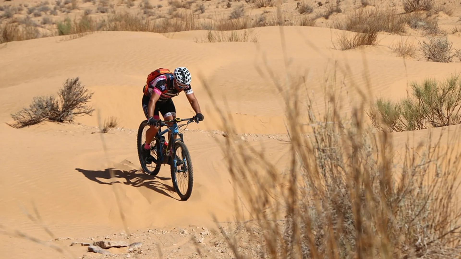 Nella steppa del Sahara - Image 1