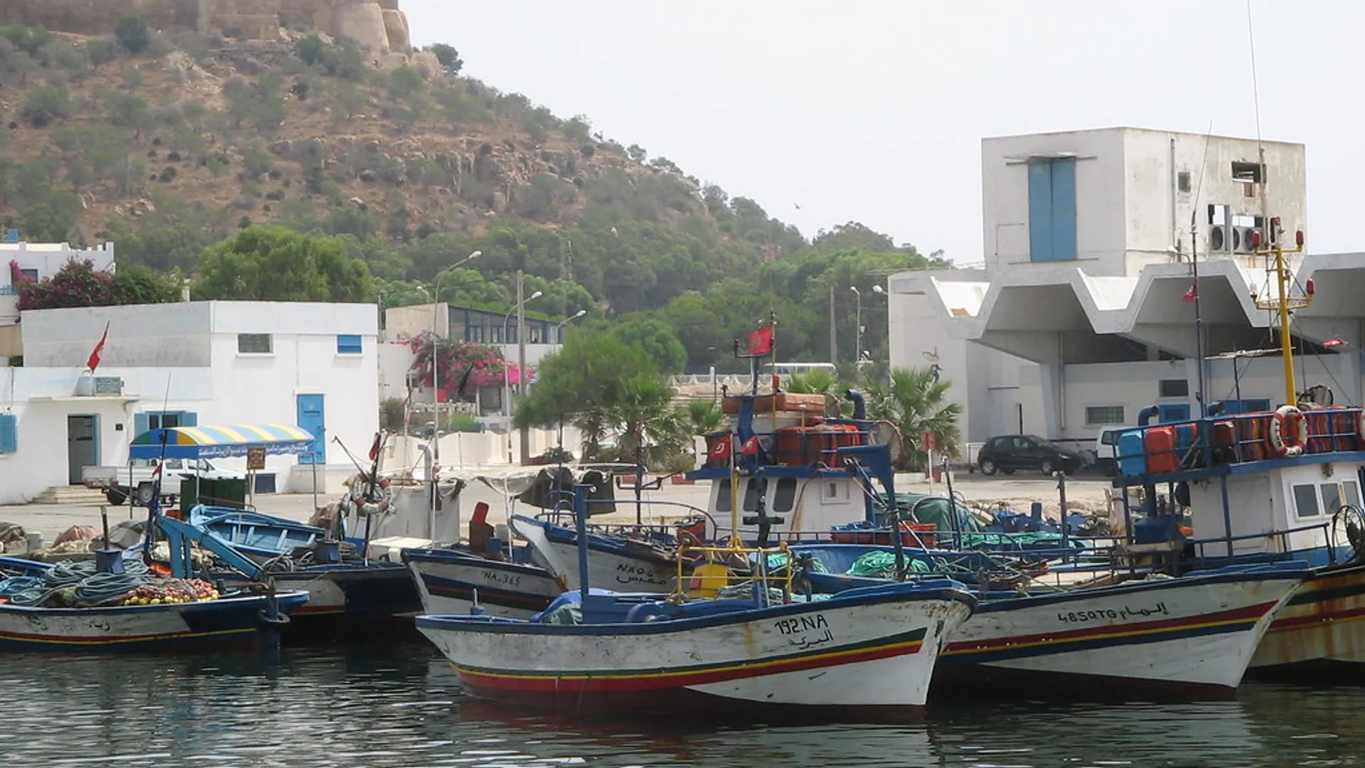 Visite du port de pêche de Kélibia