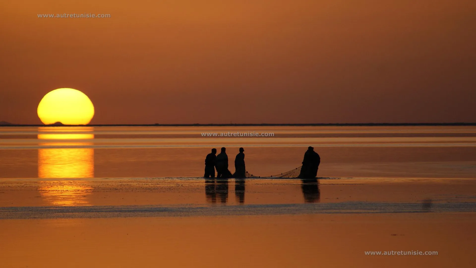 Your Journey, Your Wishes, Our Expertise