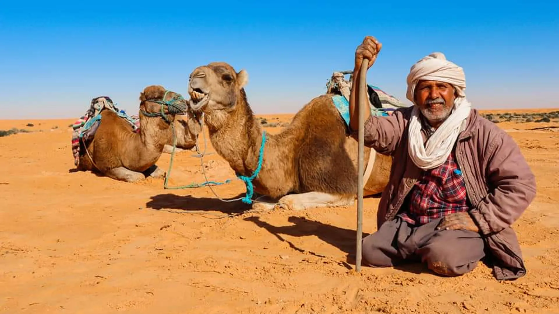 Return to Douz – End of the caravan, beginning of comfort - Image 1