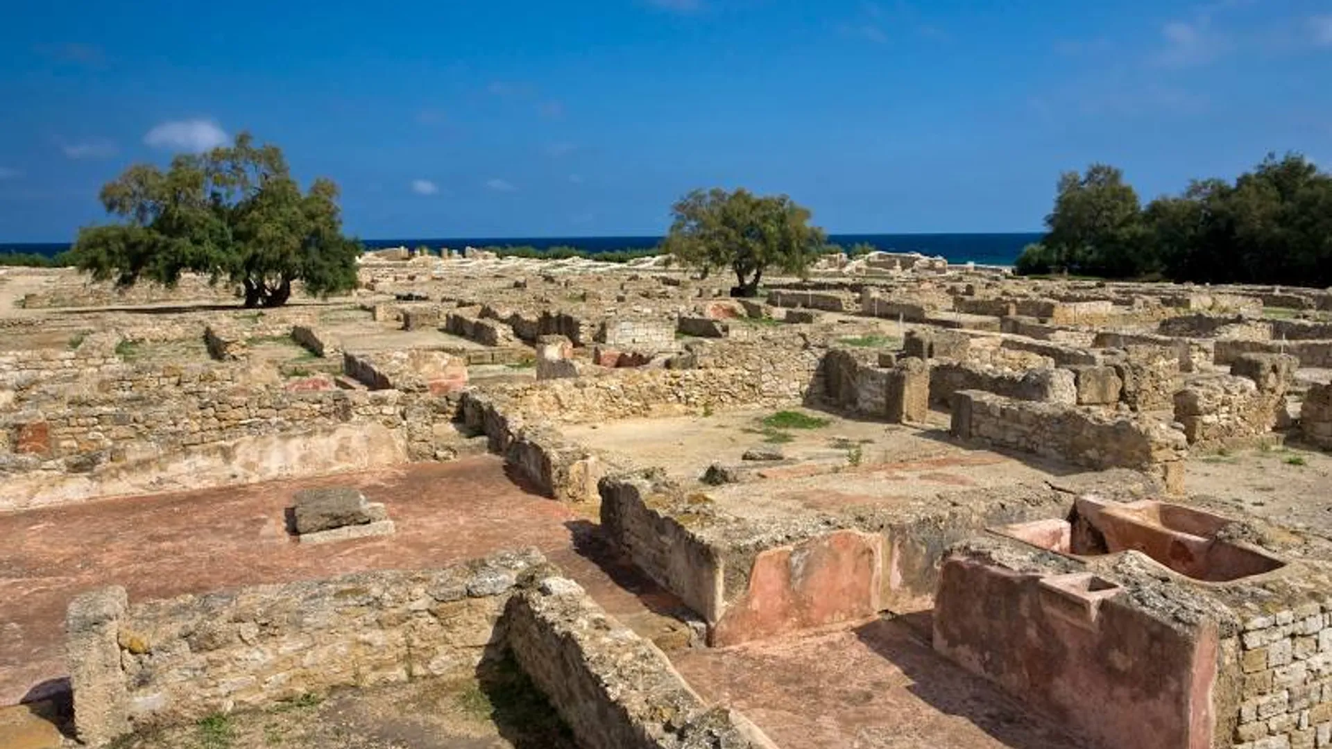 Visite du site archéologique de Kerkouane