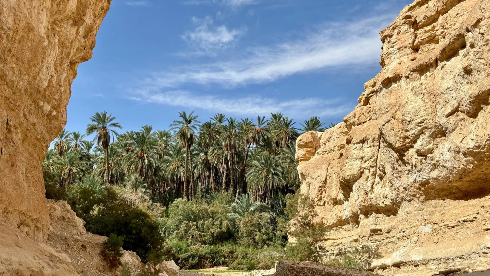 Il treno Lucertola Rossa – Oasi di Montagna – Tozeur - Image 1