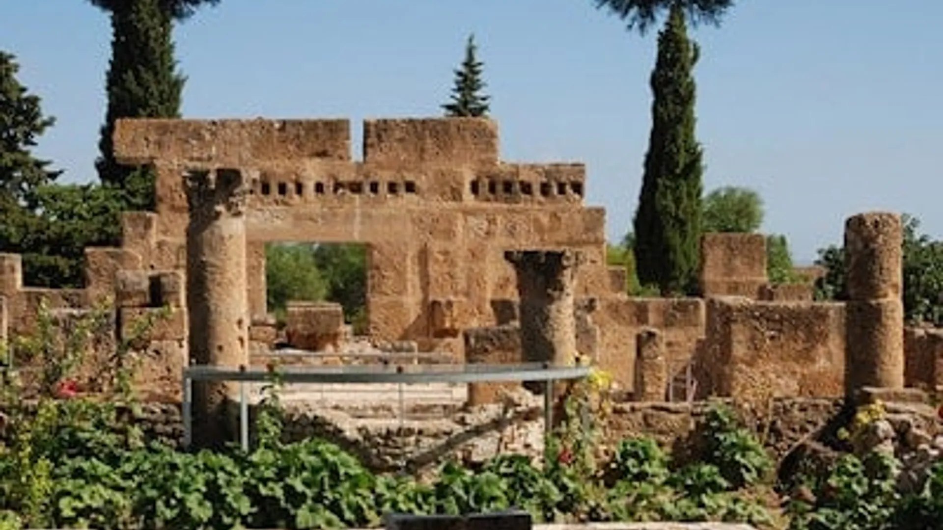 Between Ancient History and Untamed Nature – Utica, Bizerte, and Tabarka - Image 2