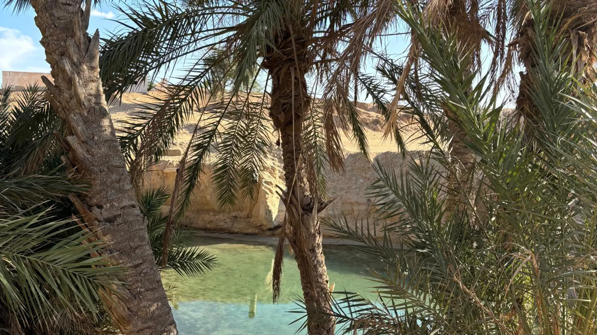 Sorgenti di Chebika - Image 1