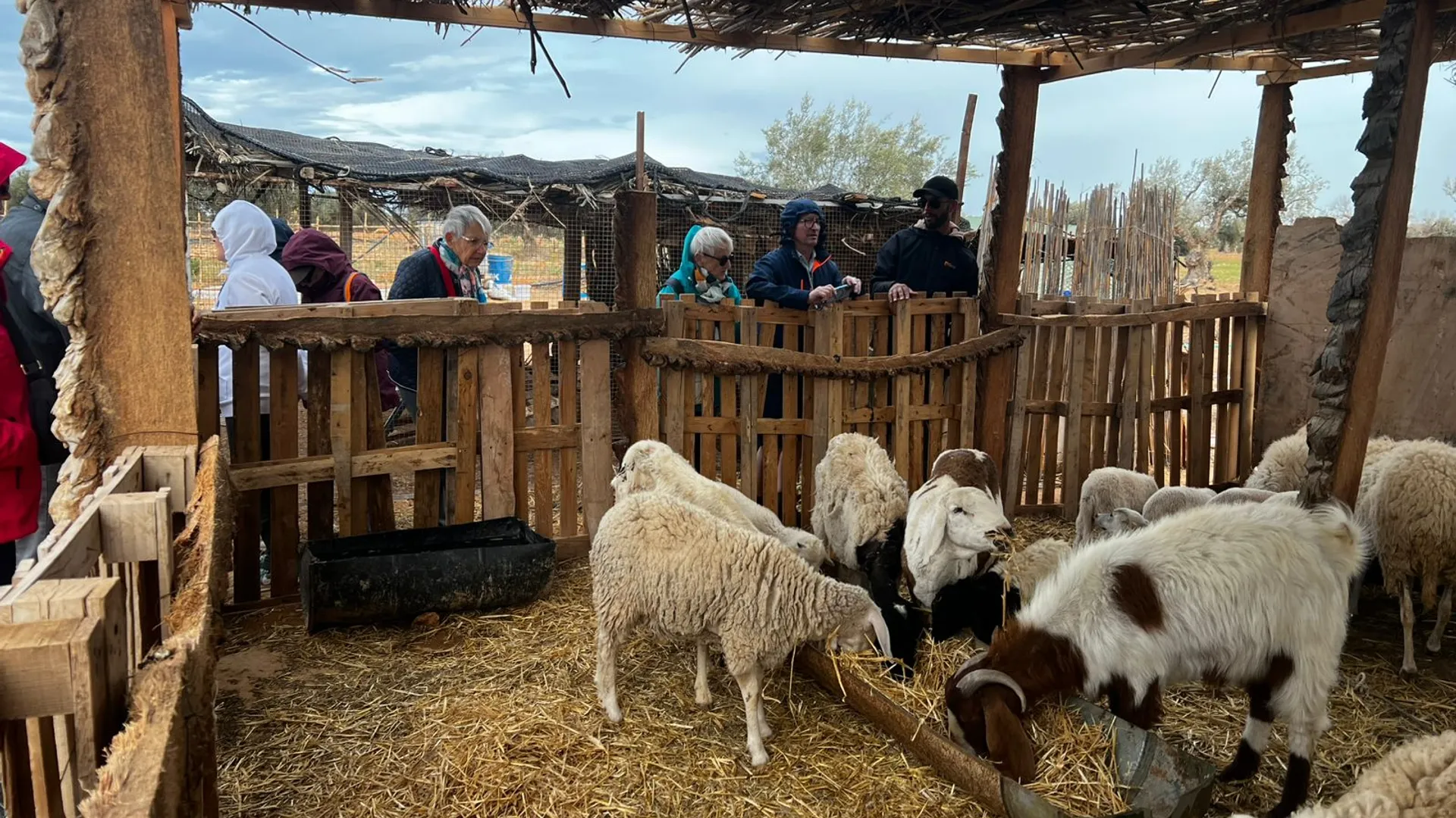 Sur les pistes de Djerba en calèche avec vos enfants - Image 2