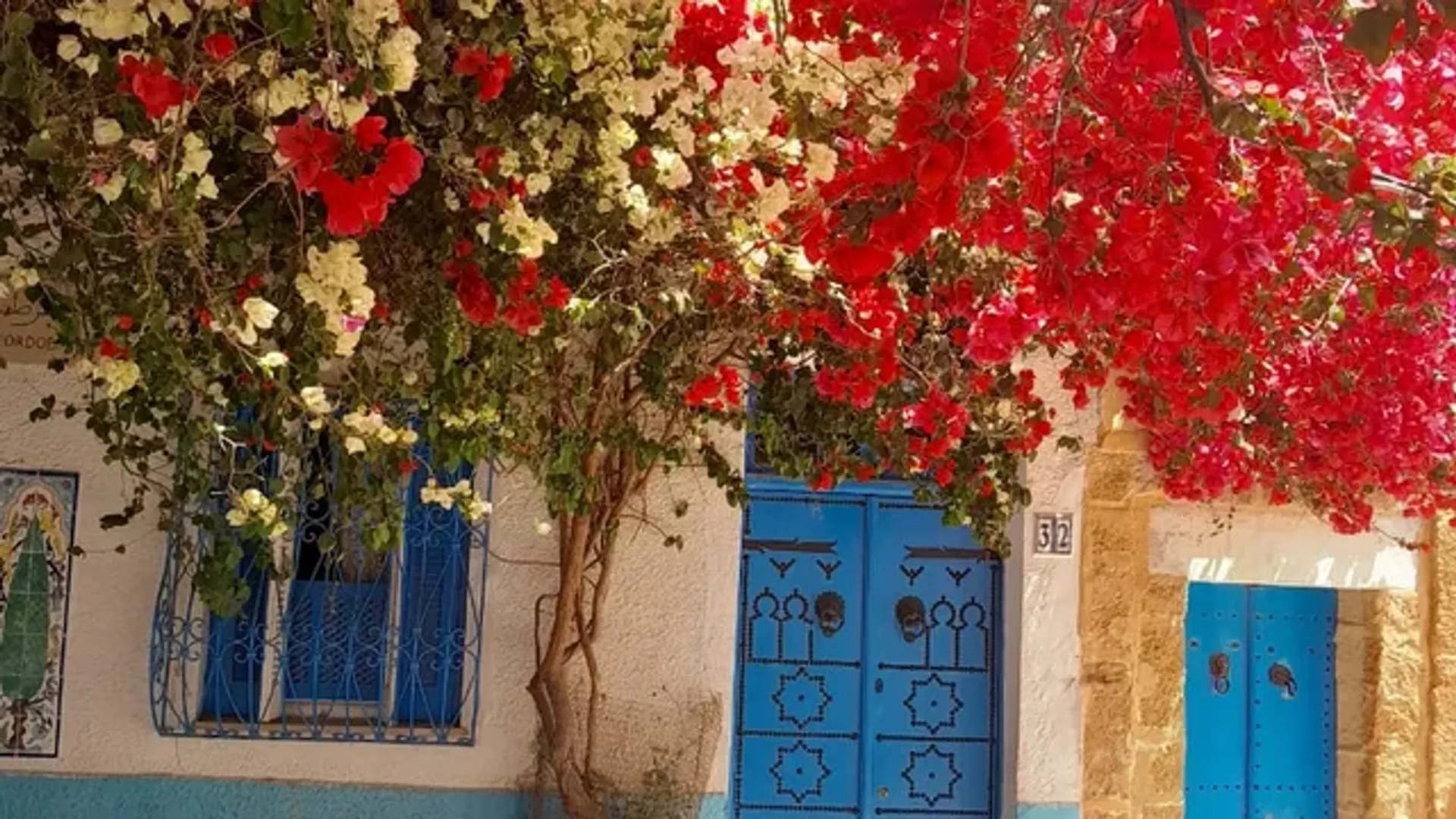 Carthage and Sidi Bou Said – At the Roots of the Tunisian Soul - Image 2