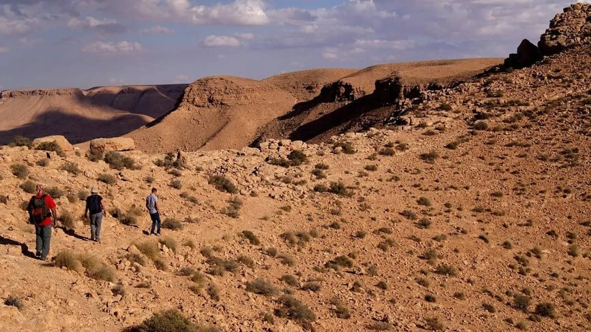 Berber trek & lunch with a local family in Zammour - Image 1