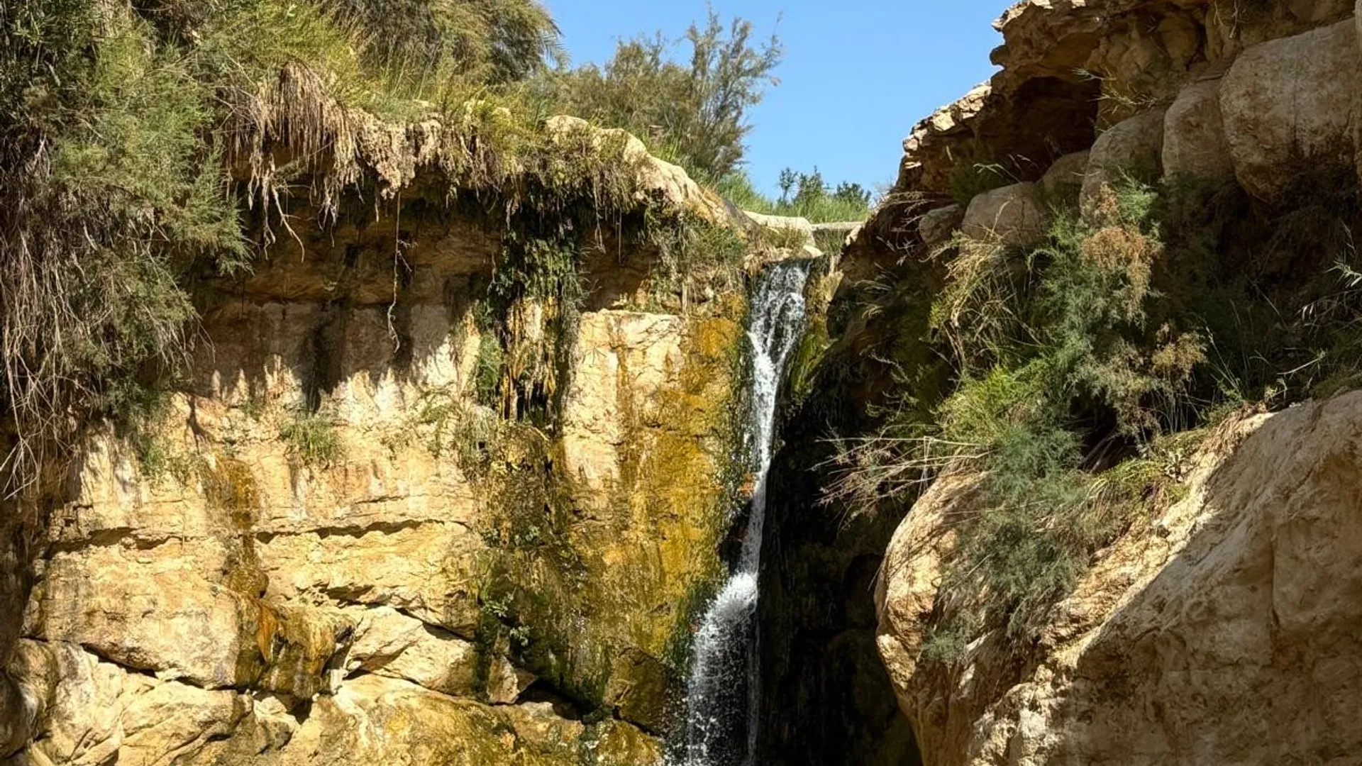 Waterfalls of Tamerza