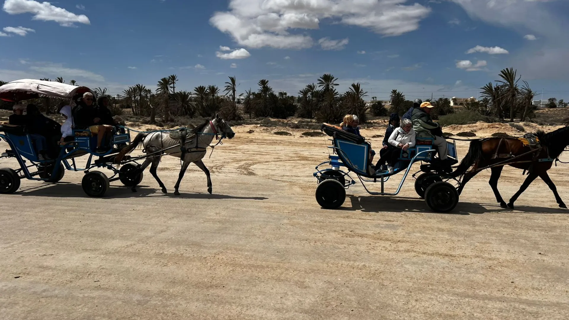 Sur les pistes de Djerba en calèche avec vos enfants - Image 1