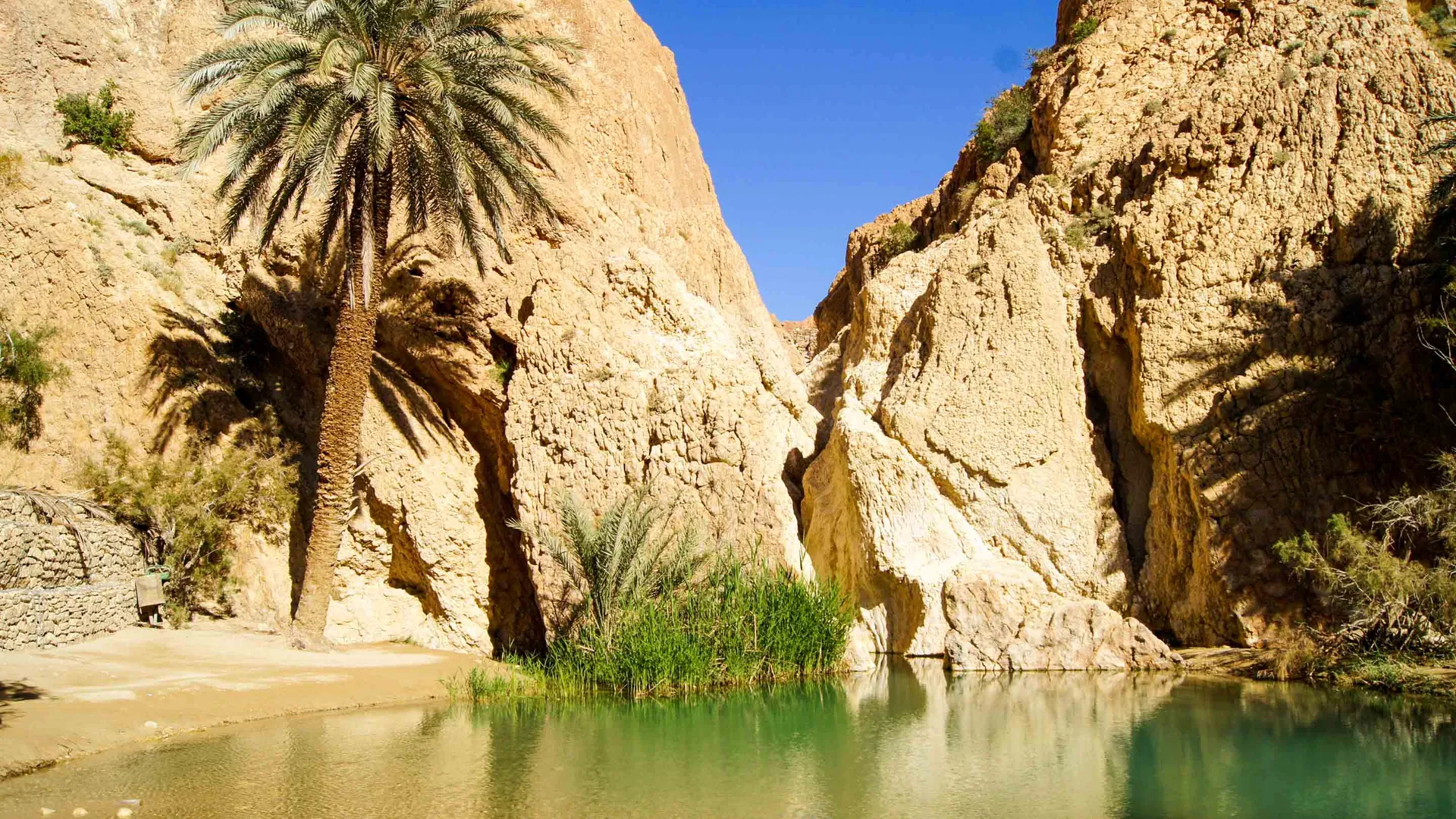 Sorgenti di Chebika - Image 2