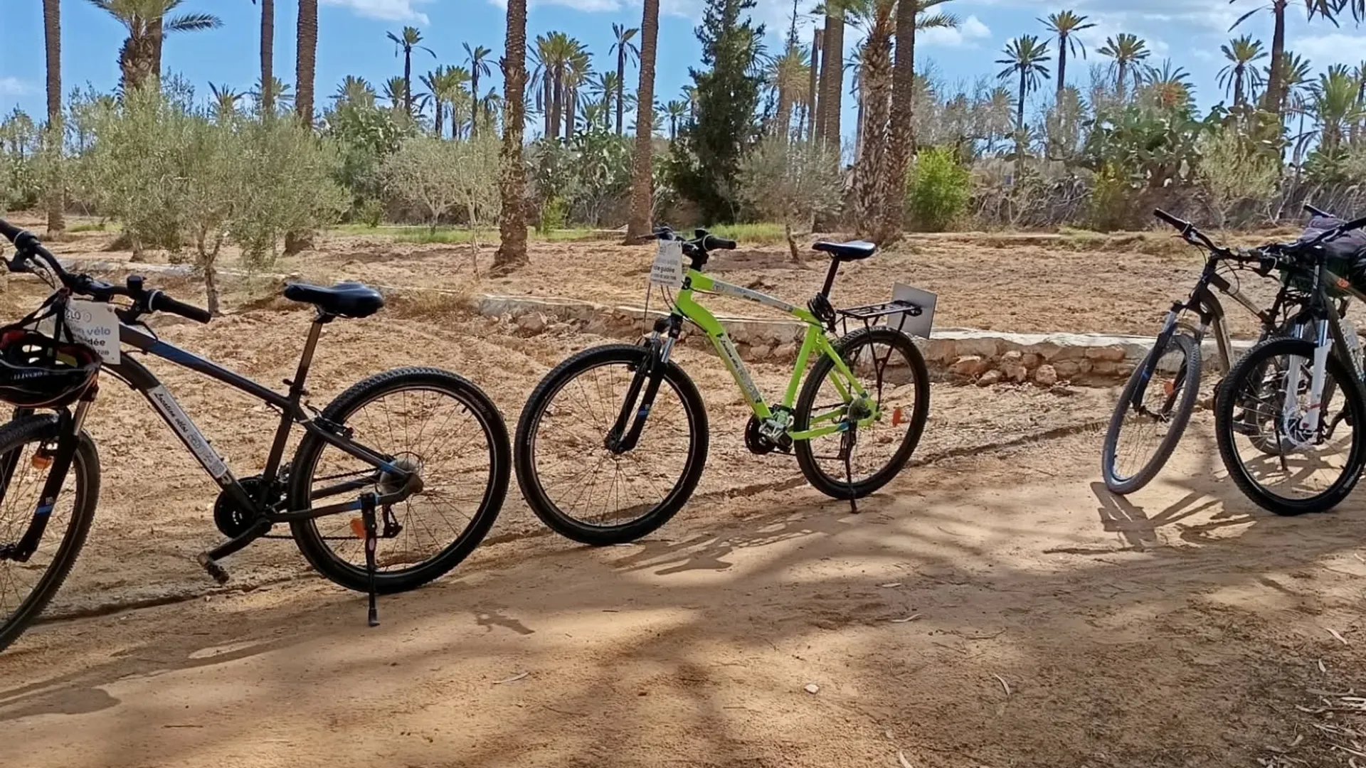 Cycling & Mountain Biking in Tunisia – Gentle Adventure at the Heart of the Island