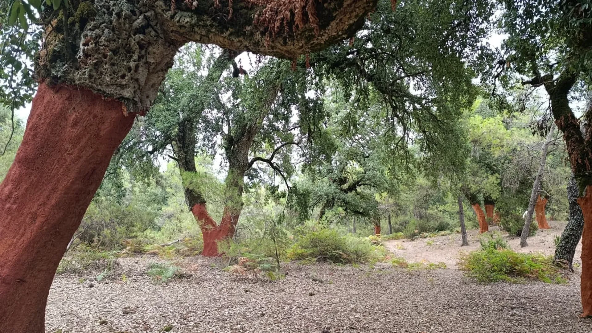 Family Journey into the Heart of Nature
